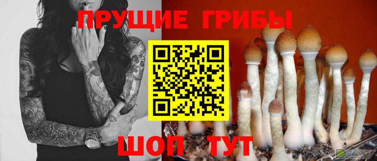 Галлюциногенные грибы Psilocybine cubensis  даркнет сайт  Коряжма  Вход с VPN 